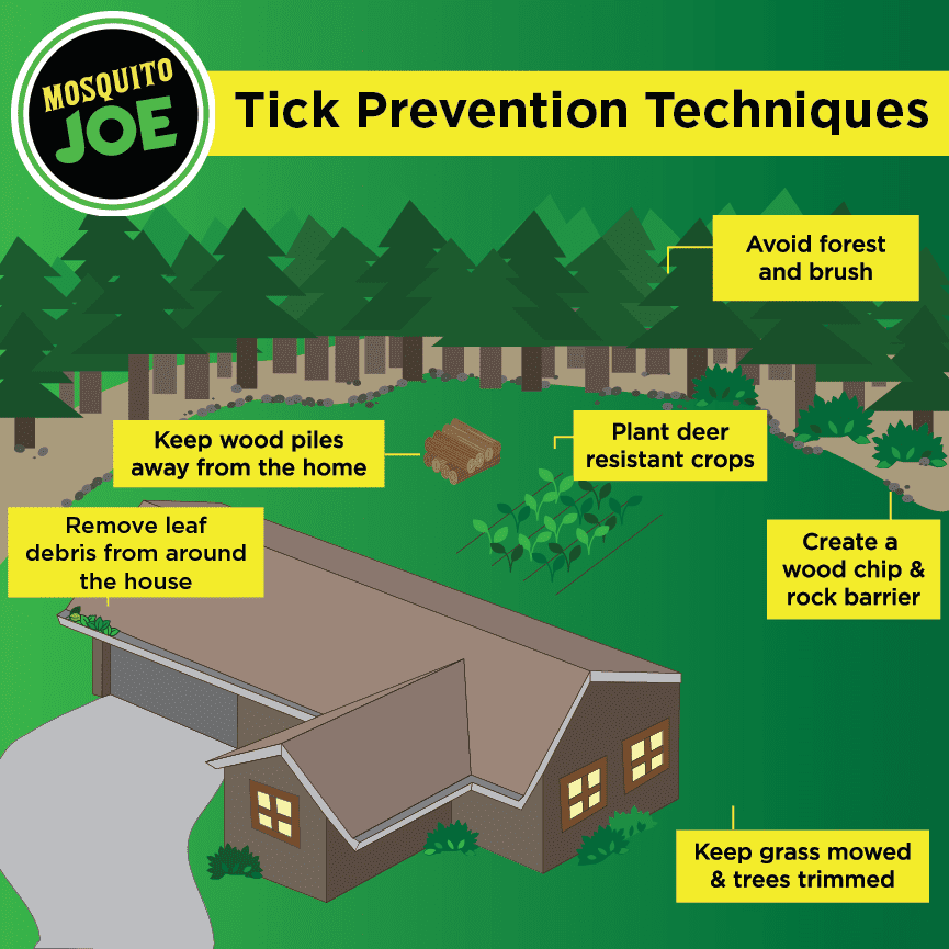 tick prevention chart